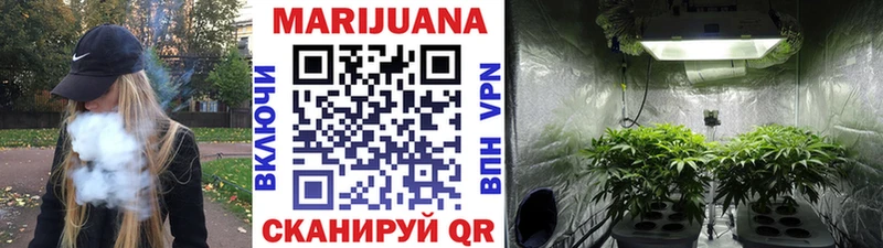Каннабис план  Купить закладки  Коммунар 